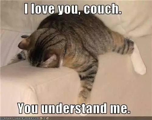Funny Love You Couch