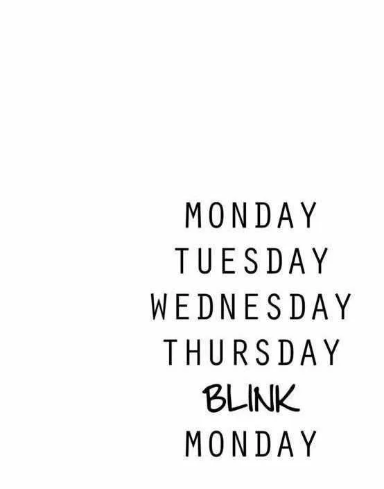 Funny Mondays Blink