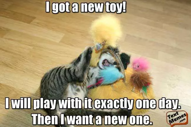 Funny New Toy