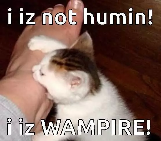 Funny Not Vampire
