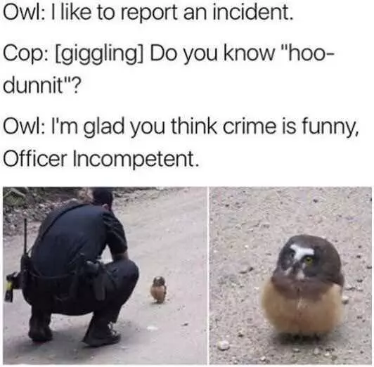 Funny Owl Cop