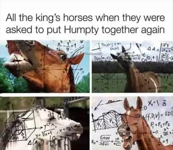 Funny Put Humpty