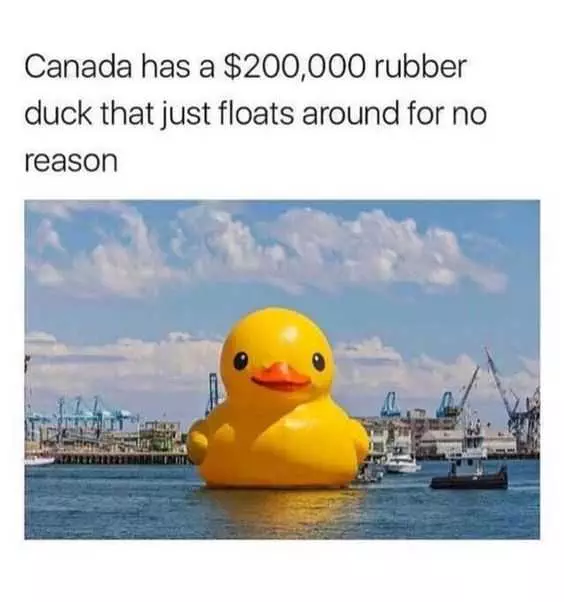 Funny Rubber Duck