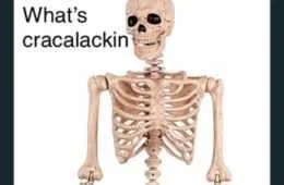 Funny Skeletn