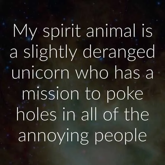Funny Spirit Unicorn