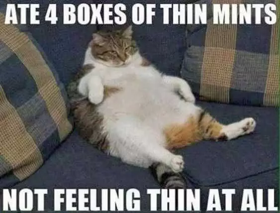 Funny Thin Mints