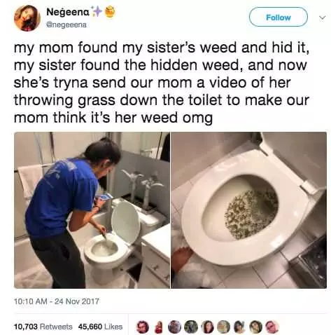 Funny Weed Sister