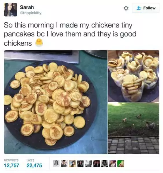 Meme Tiny Pancakes