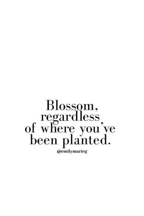 Quote Blossom Regardless