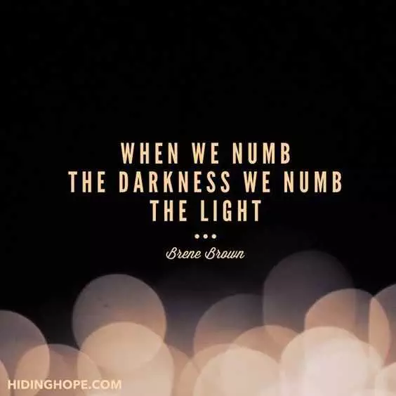 Quote Numb Darkness