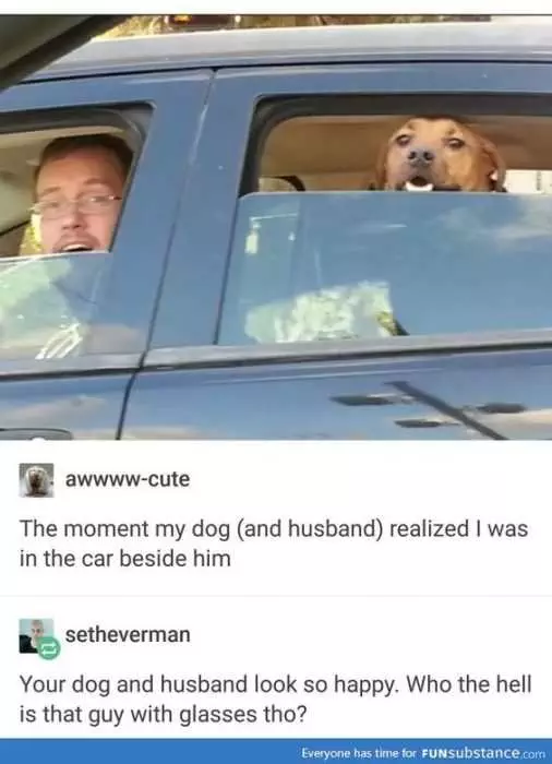 Animal Dog Husband