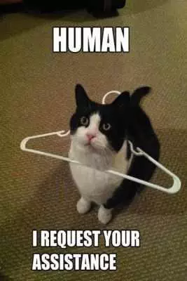 Animal Hanger Cat