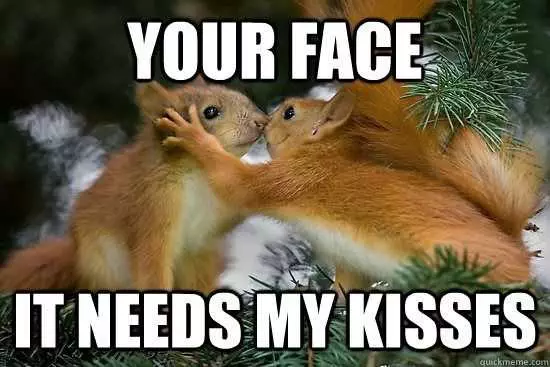 Animal Squirrel Kisses