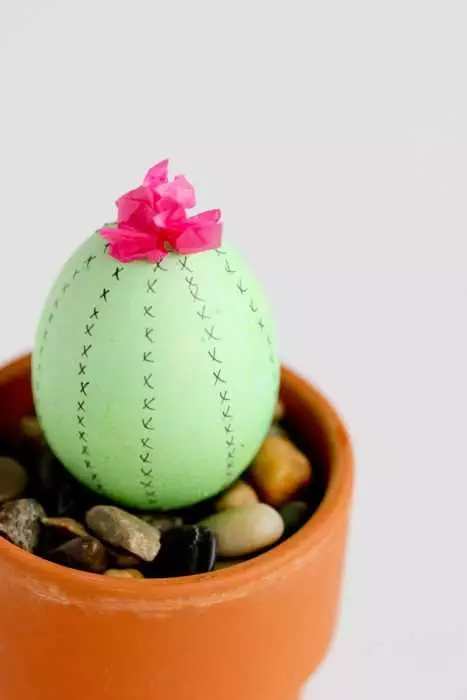 Diy Cactus Egg