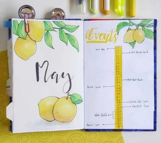 Diy May Lemon