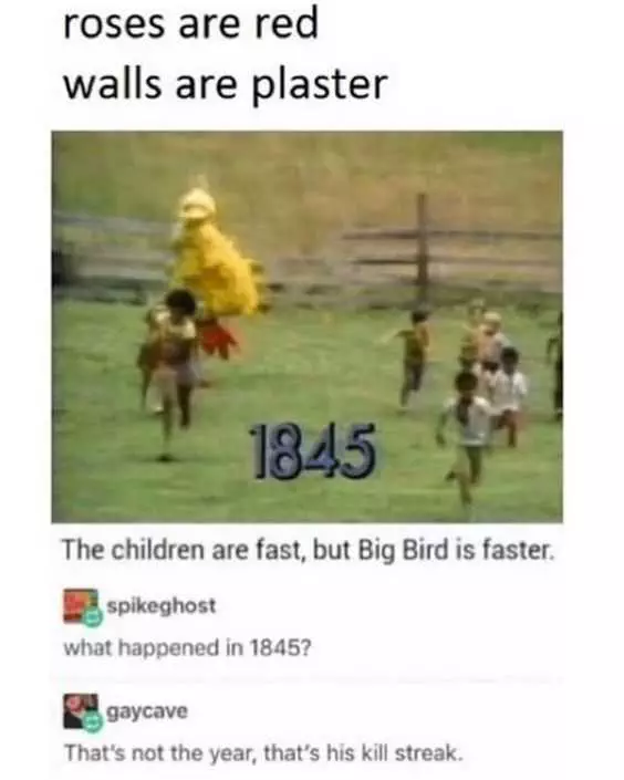Funny Big Bird Faster