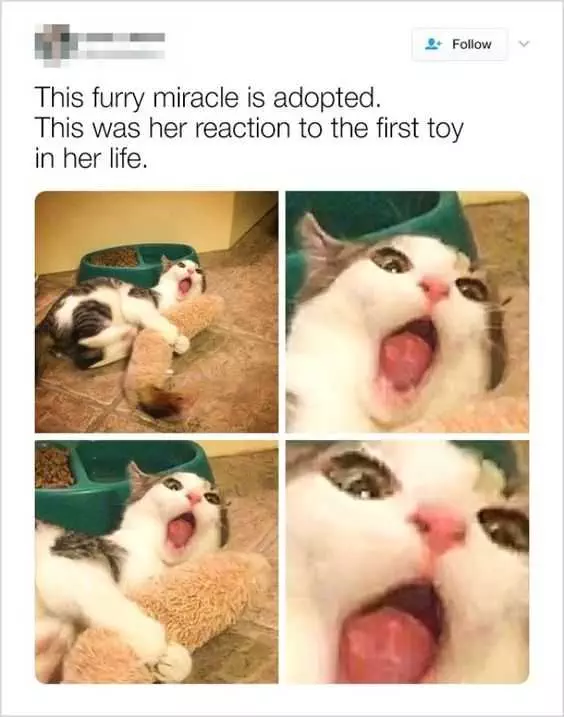 Funny Furry Toy