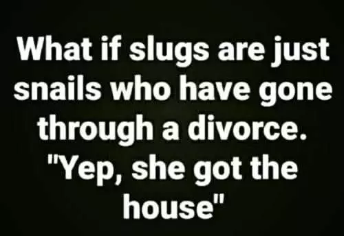 Funny Slugs Snails