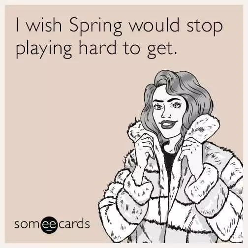 Funny Spring Hard To Get