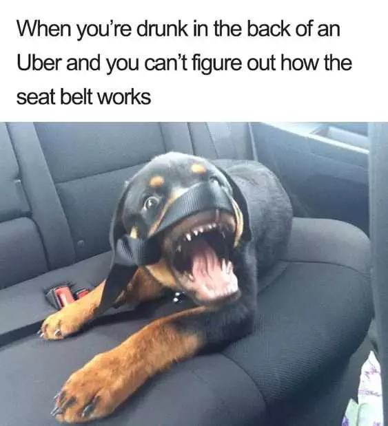 Funny Uber Drunk