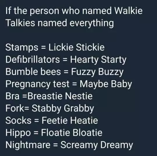 Funny Walkie Talkie