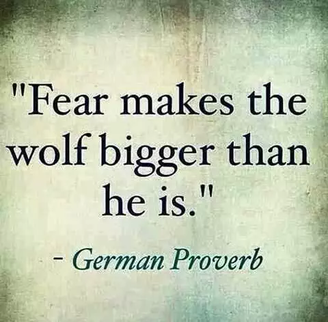 Quote Fear Makes Wolf