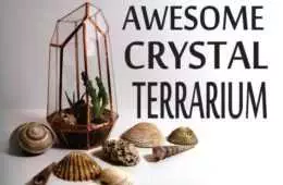 Diy Ccrystal Terrarium