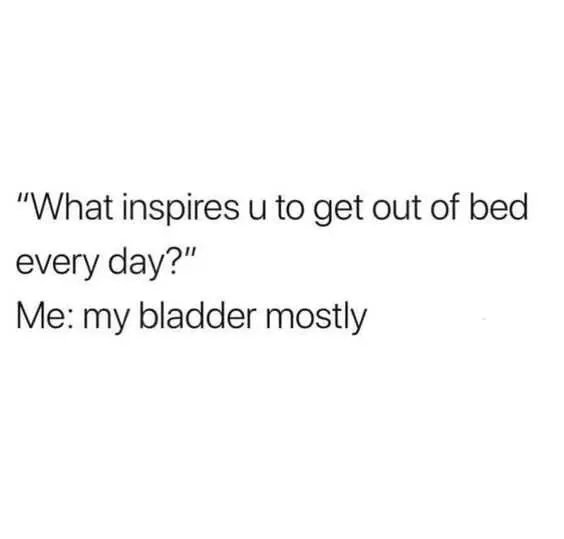 Funny Bladder