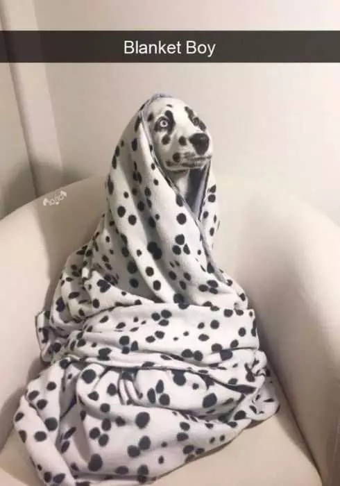 Funny Blanket Boy