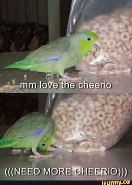 Funny Cheerio Bird