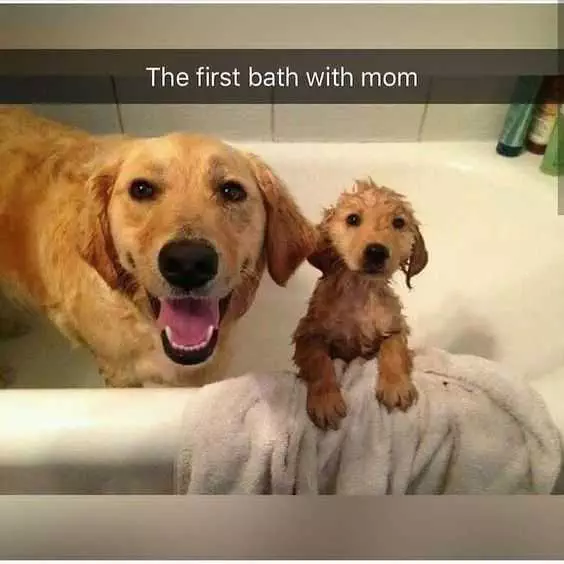 Funny First Bath