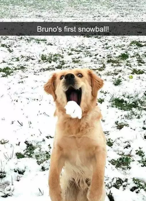 Funny First Snowball
