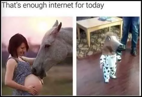 Funny Horse Baby
