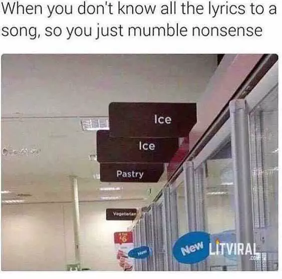 Funny Ice Ice