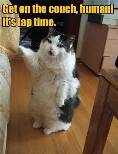 Funny Laptime