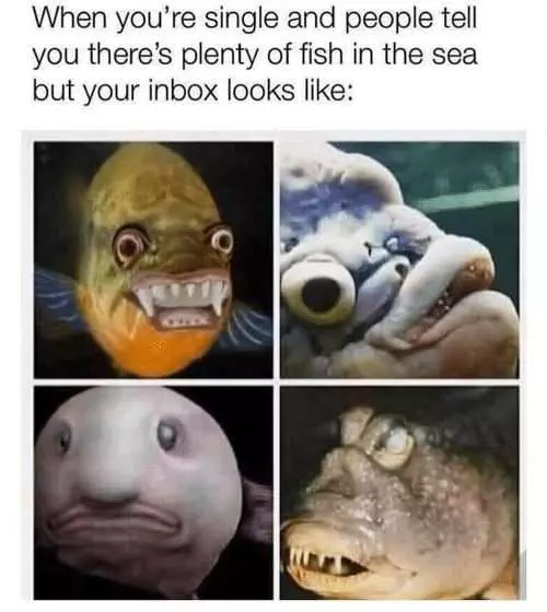 Funny Single Fish