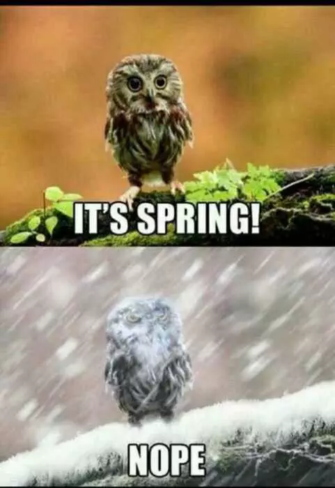 Funny Spring Nope