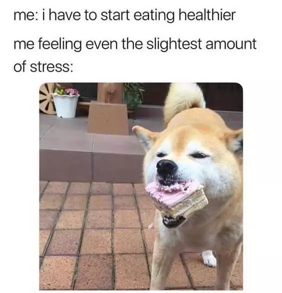 Funny Stress Healthier