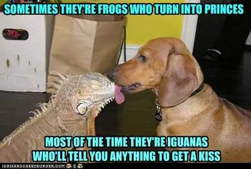 Funny Tell You Anything
