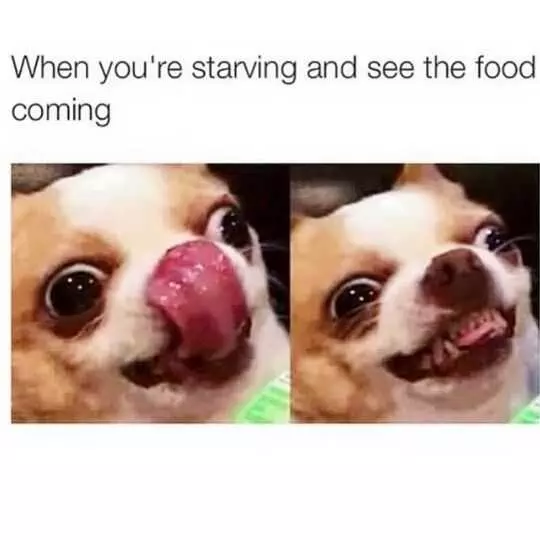 Funny When You See Food