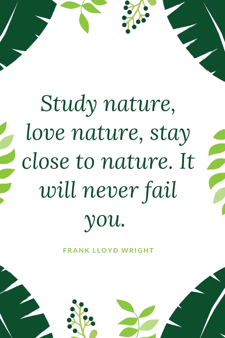 Study Nature Love Nature Stay Close To Nature. It Will Never Fail You.