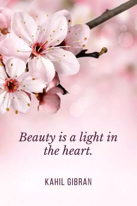 Beauty Light Heart