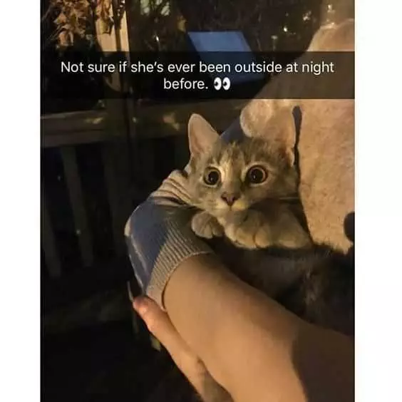Funny Outside At Night