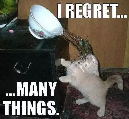 Funny Regret Many Things