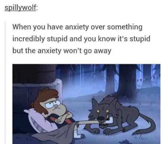 Meme Anxiety Falls