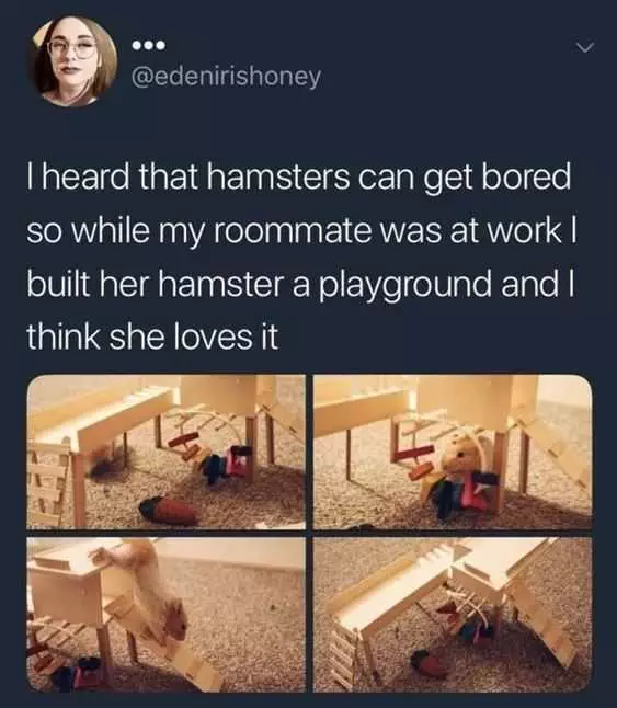 Meme Playground Hamster