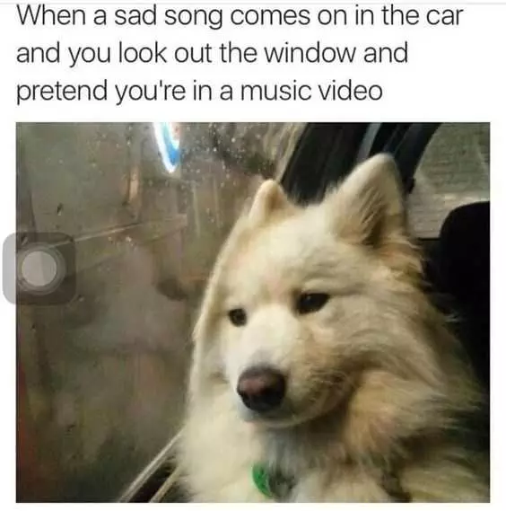 Meme Sad Song