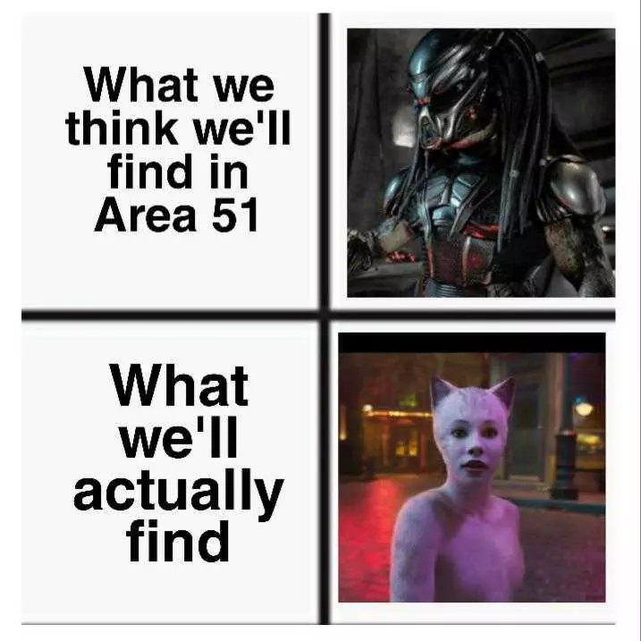 Area 51 Cats