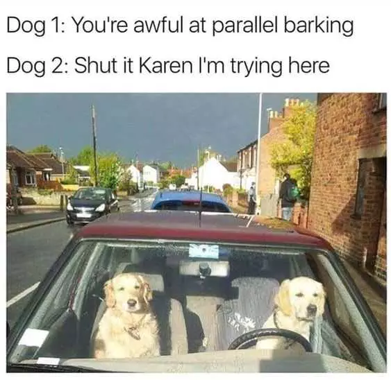 Funny Barking Karen