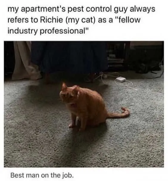Funny Fellow Professional